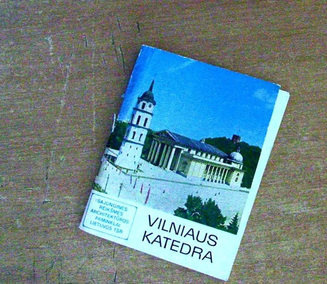 Vilniaus katedra