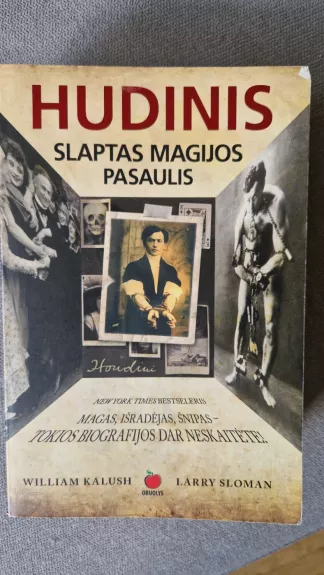 Hudinis slaptas magijos pasaulis