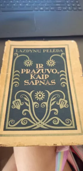 Ir pražuvo kaip sapnas