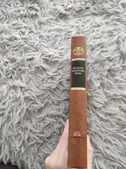 Prancūzų romantikų proza