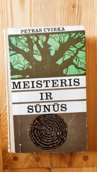 Meisteris ir sūnūs