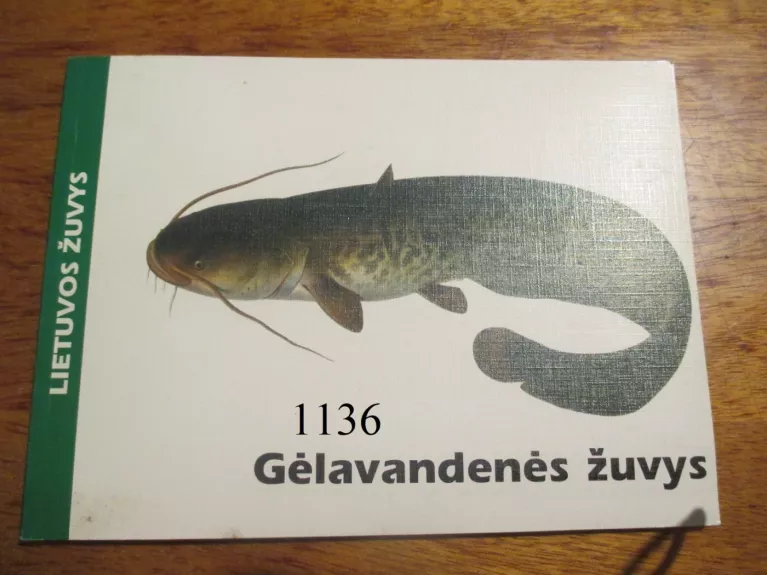 Lietuvos žuvys. Gėlavandenės žuvys