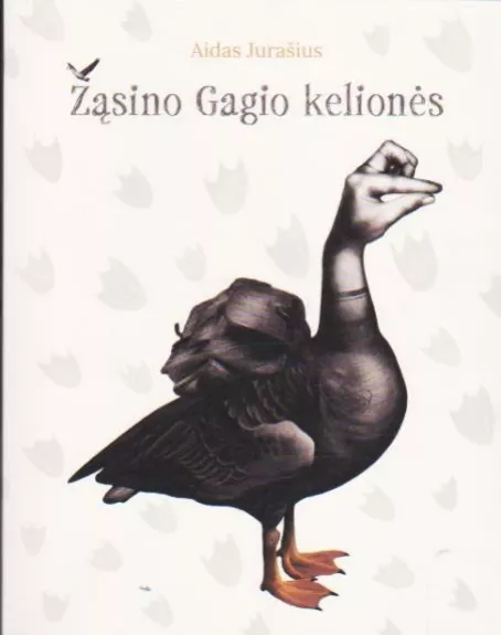 Žąsino Gagio kelionės