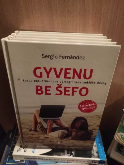 Gyvenu be šefo: ši knyga paskatins tave pamėgti savarankišką darbą