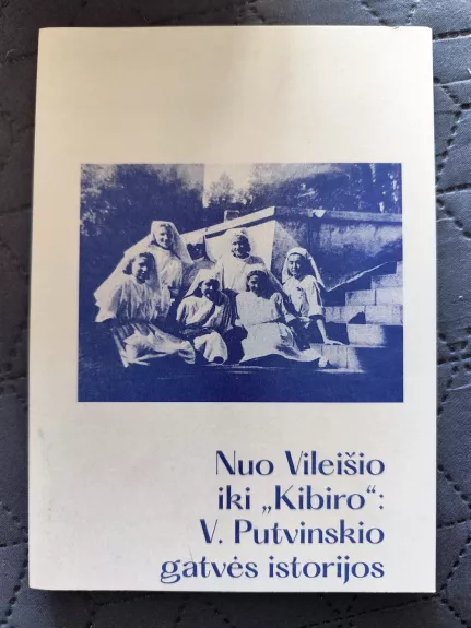 Nuo Vileisio iki "Kibiro"; Putviskio gatves istorijos