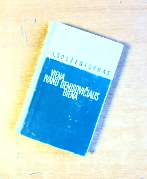 Viena Ivano Denisovičiaus diena