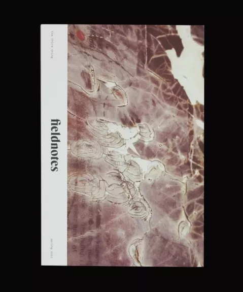 Fieldnotes #1: The Third Thing