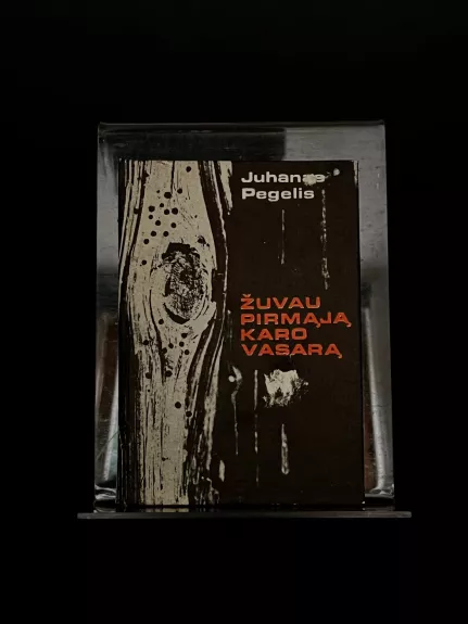 Žuvau pirmąją karo vasarą