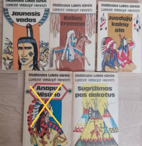 Didžiosios lokės sūnus