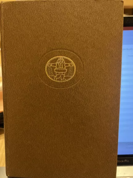 DRINOS TILTAS, ANT PROTO RIBOS Pasaulinės literatūros biblioteka (111)