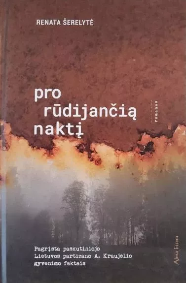 Pro rūdijančią naktį