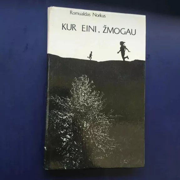 Kur eini, žmogau... Susitikimai, pokalbiai, apmąstymai...