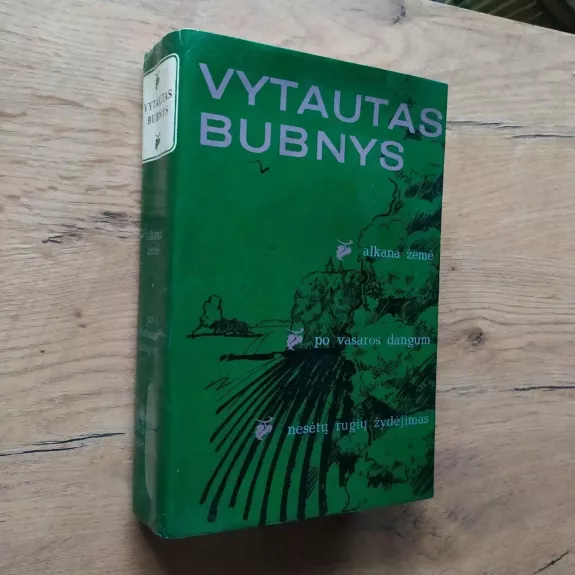 Alkana žemė. Po vasaros dangum. Nesėtų rugių žydėjimas