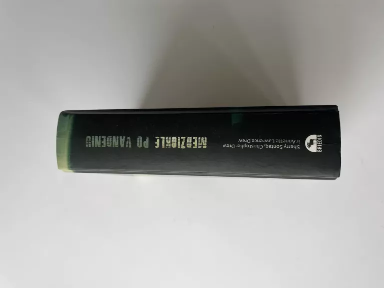 Medžioklė po vandeniu