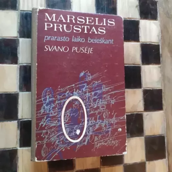 Prarasto laiko beieškant. Svano pusėje