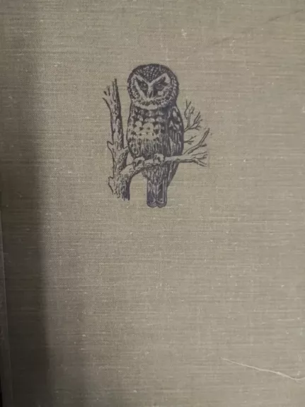 Lietuvos paukščiai, tomas II