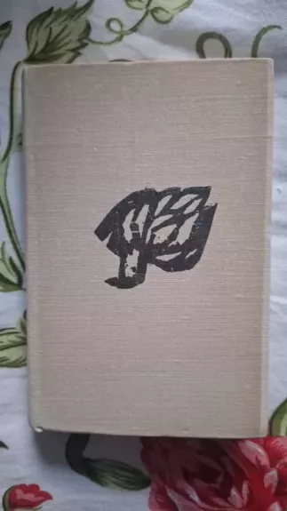 Nežvyruotu vieškeliu