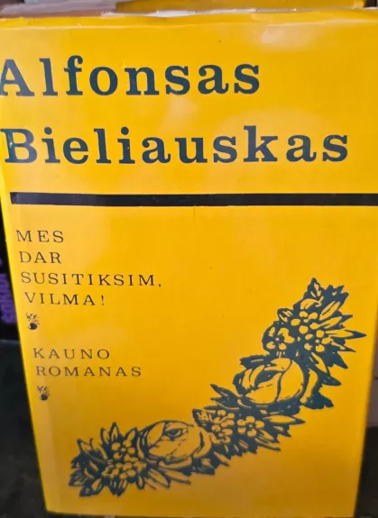 Mes dar susitiksim, Vilma! Kauno romanas