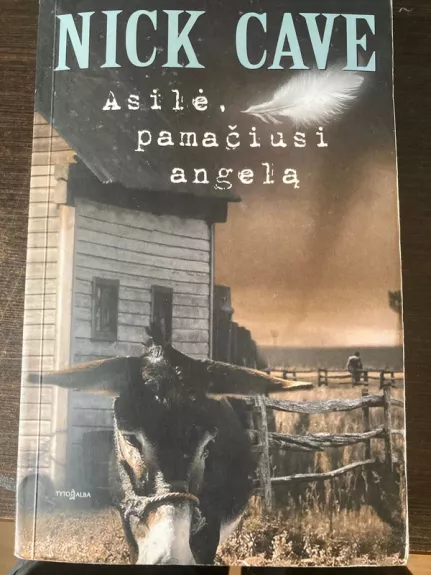 Asilė, pamačiusi angelą