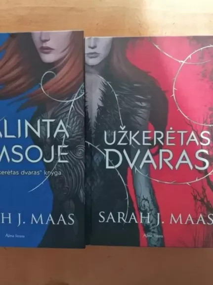 ĮKALINTA TAMSOJE IR UŽKERĖTAS DVARAS