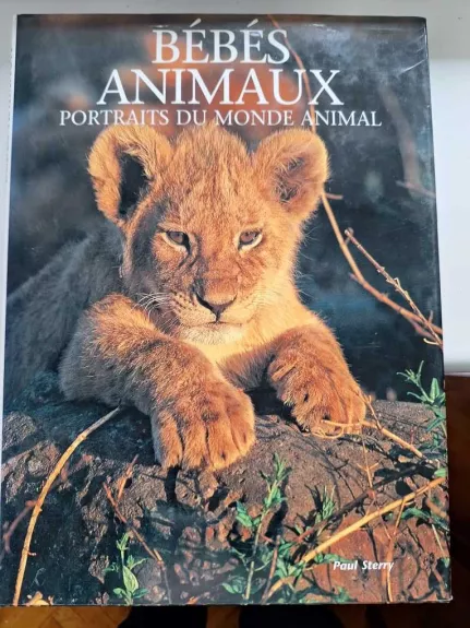 Bébés animaux
