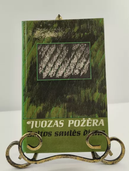 Baltos saulės diena