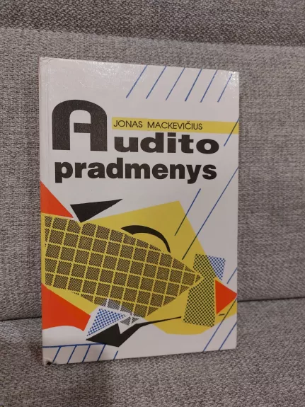 Audito pradmenys