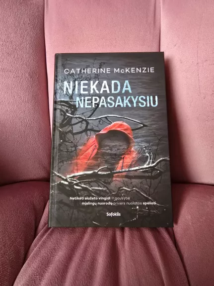 Niekada nepasakysiu