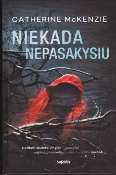 Niekada nepasakysiu