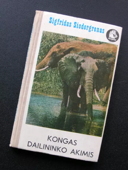 Kongas dailininko akimis