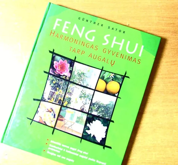 Feng Shui harmoningas gyvenimas tarp augalų