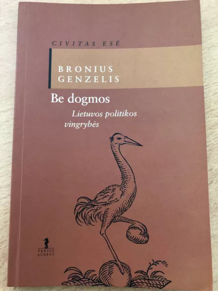 Be dogmos. Lietuvos politikos vingrybės
