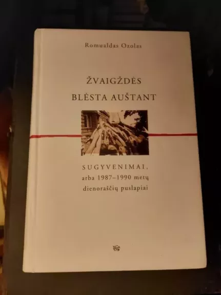 Žvaigždės blėsta auštant