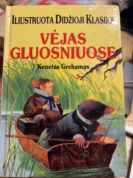 Vėjas Gliuosniuose  Iliustruota Didžioji Klasika (40)