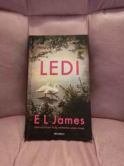 Ledi - James E L, knyga 1