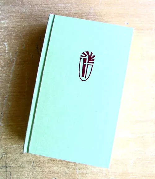 Šv. Rašto kraštuose (II dalis) (21A serijos knyga)