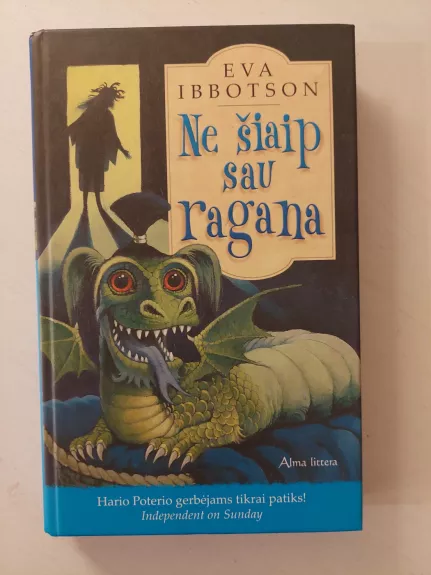 Ne šiaip sau ragana