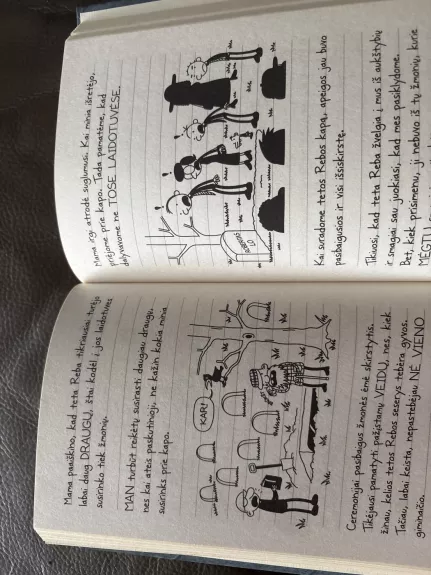 Nevykėlio dienoraštis 14: grėsmingas kamuolys