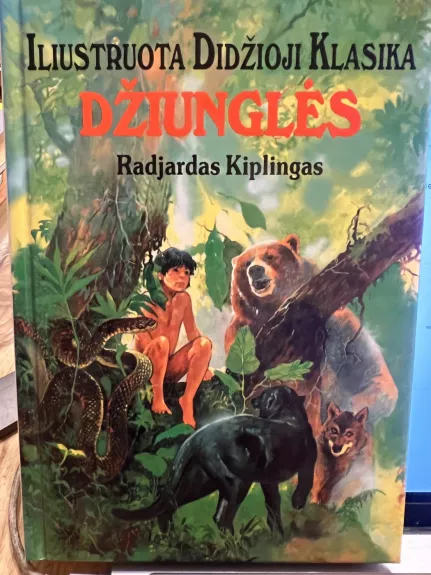 Džiunglės