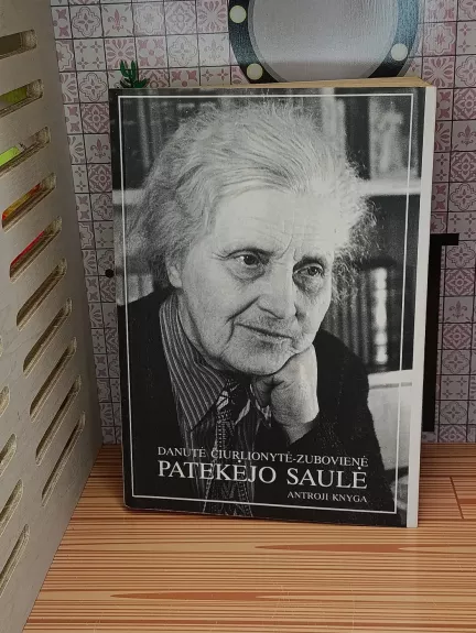 Patekėjo saulė 2 knyga