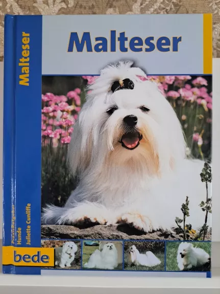 Maltezer (Maltos bišonas)