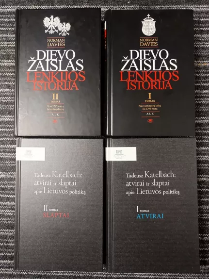 Dievo žaislas. Lenkijos istorija