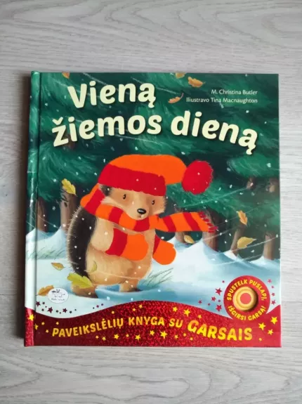 Vieną žiemos dieną (su garsais)