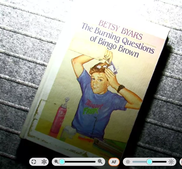 The Burning Questions of Bingo Brown