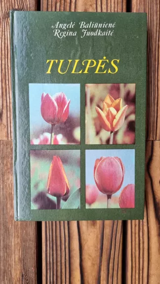 Tulpės