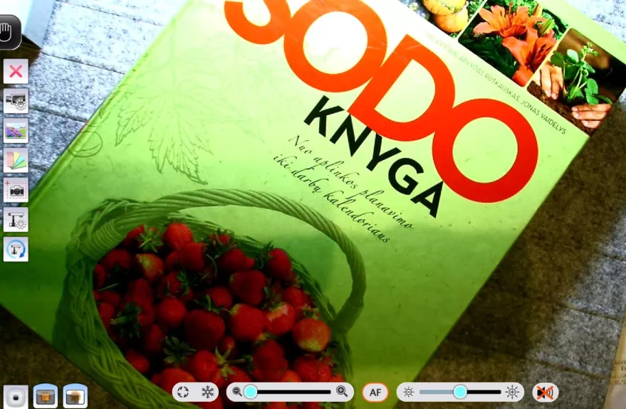 Sodo knyga. Nuo aplinkos planavimo iki darbų kalendoriaus.