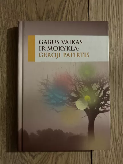Gabus vaikas ir mokykla: geroji patirtis