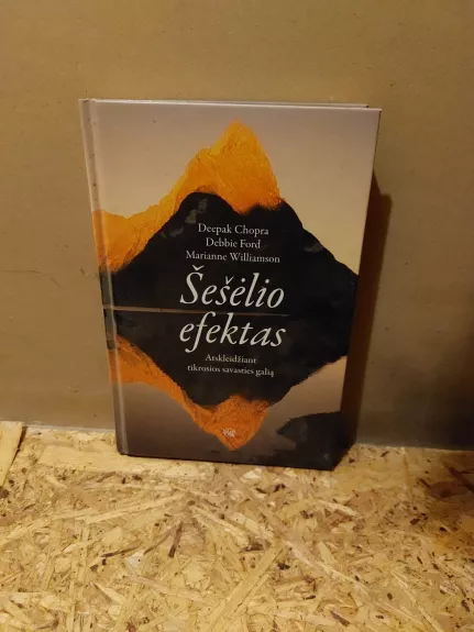 Šešėlio efektas. Atskleidžiant tikrosios savasties galią