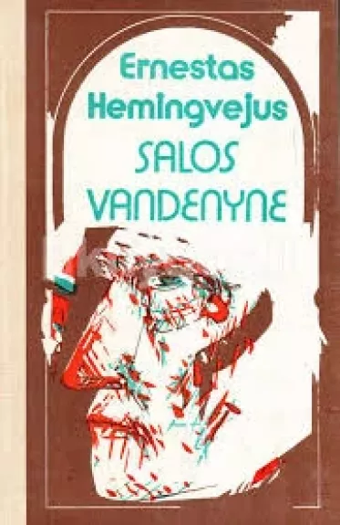 Salos vandenyne