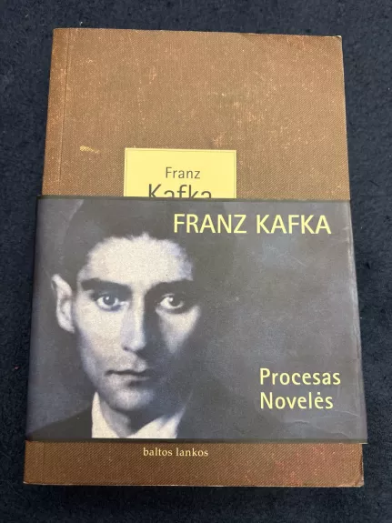 Procesas. Novelės